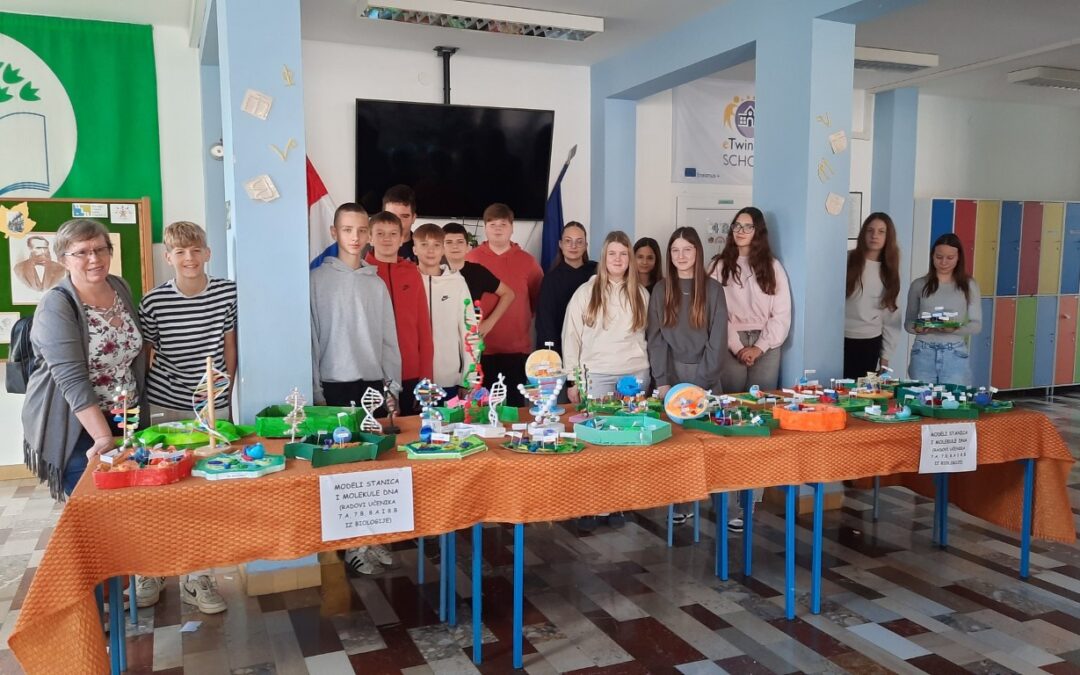 Izložba modela stanice i molekule DNA: kreativnost naših sedmaša i osmaša u službi znanosti 
