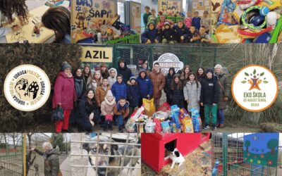 Akcija pomaganja psima u azilu u Nemetinu – 20 godina dobrote i solidarnosti